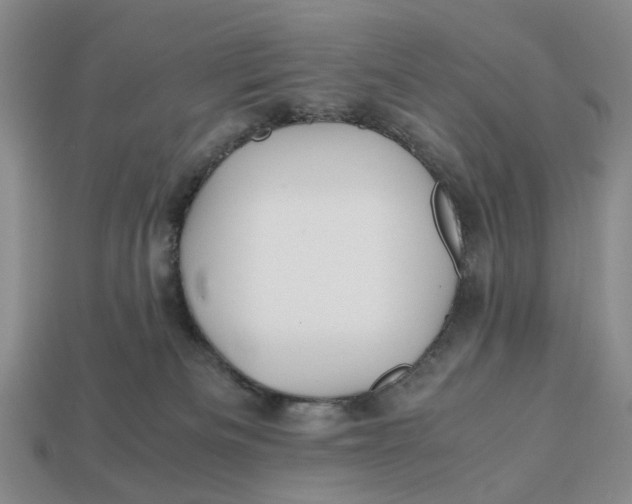 X0000112970133200909171326