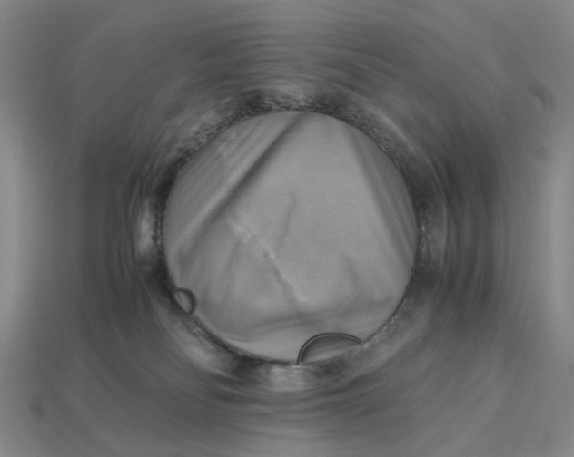 X0000112970134200909171326