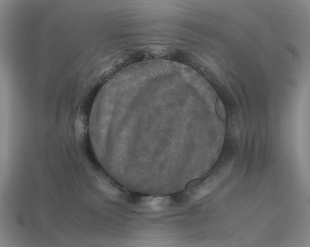 X0000112970135200909171326