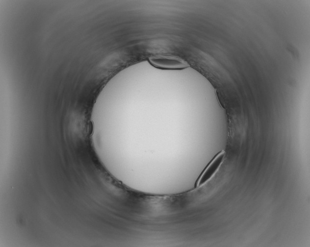 X0000112970136200909171326