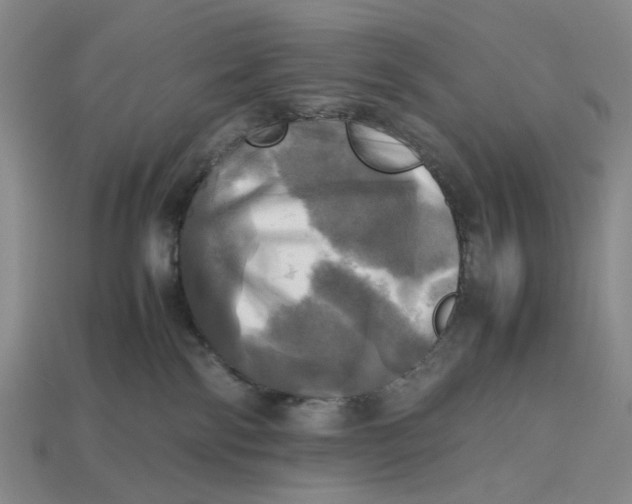 X0000112970138200909171326