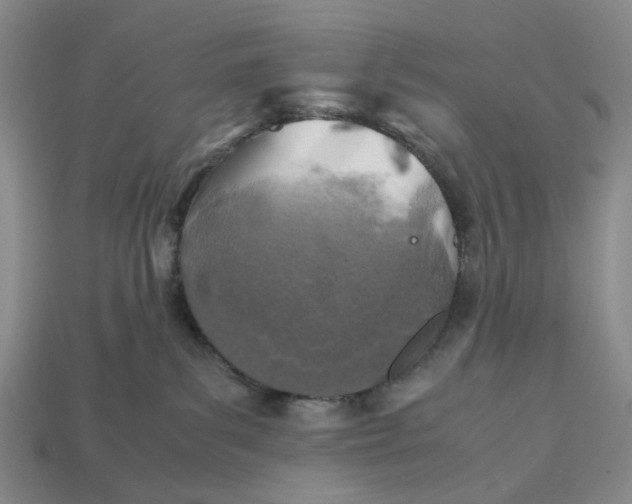 X0000112970139200909171326