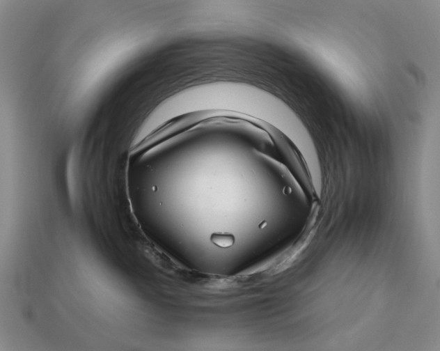 X0000112970140200909171326