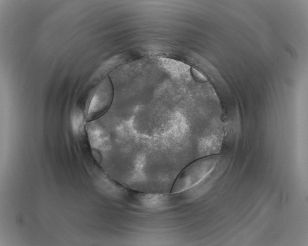 X0000112970142200909171326