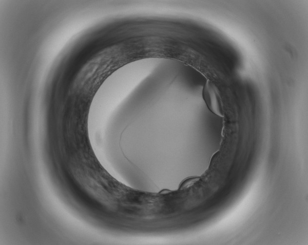 X0000112970143200909171326