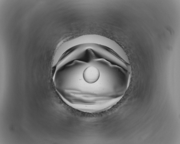 X0000112970144200909171326