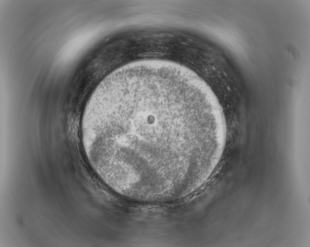 X0000112970146200909171325