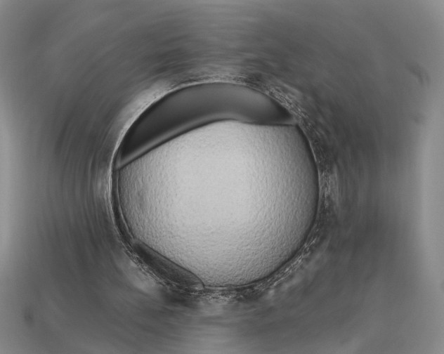 X0000112970148200909171325