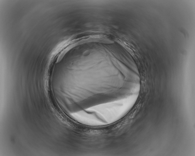 X0000112970149200909171325