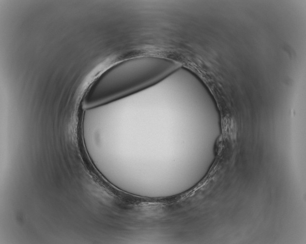 X0000112970150200909171325