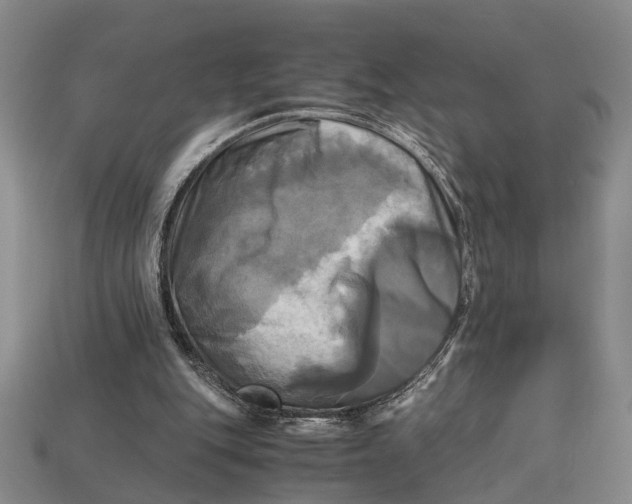 X0000112970151200909171325