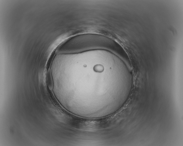 X0000112970152200909171325