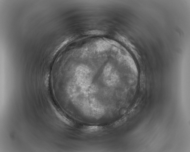 X0000112970153200909171325