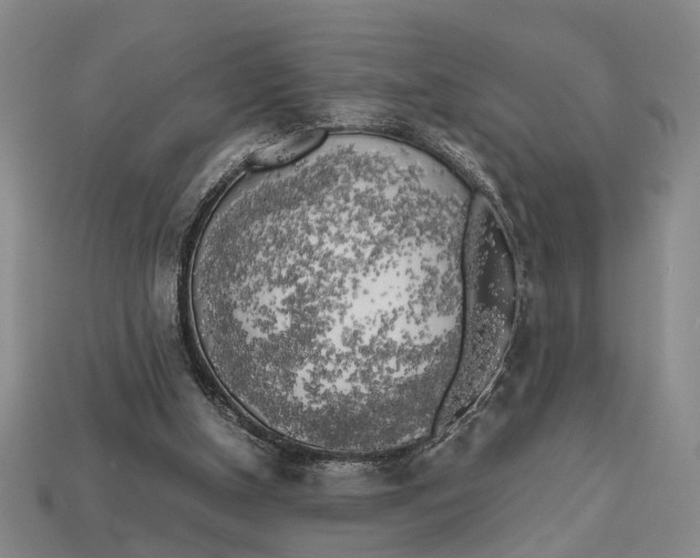 X0000112970154200909171325