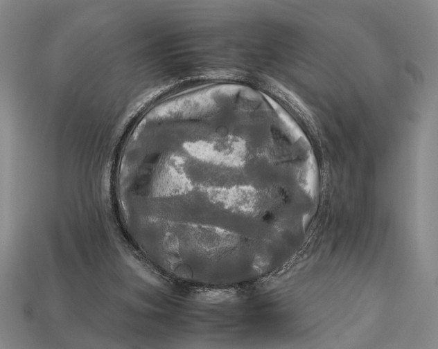 X0000112970155200909171325