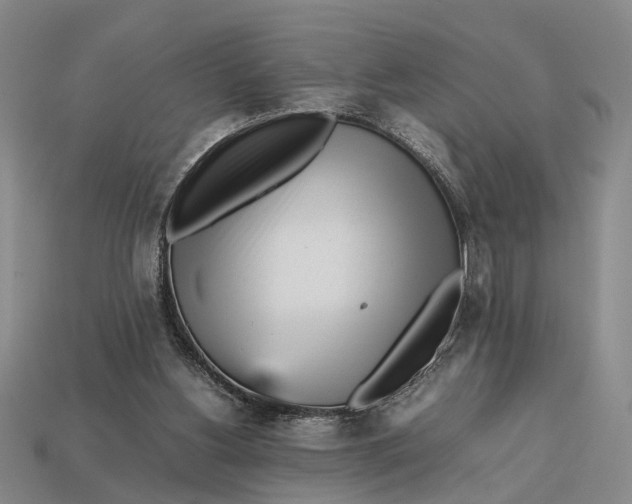 X0000112970156200909171325