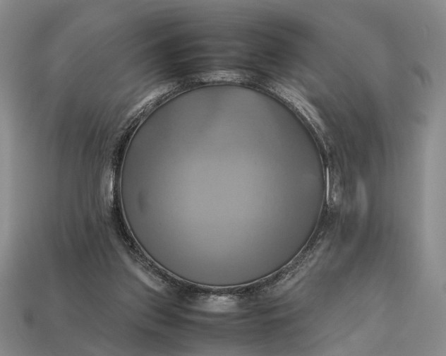 X0000112970157200909171325