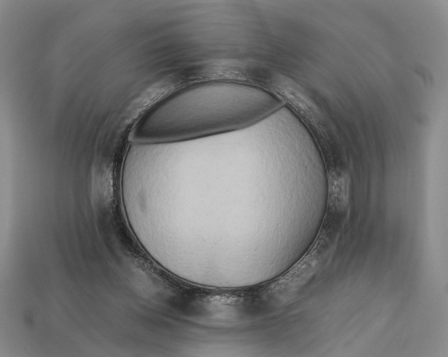 X0000112970158200909171325