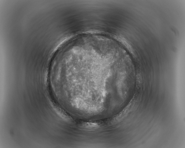 X0000112970159200909171325