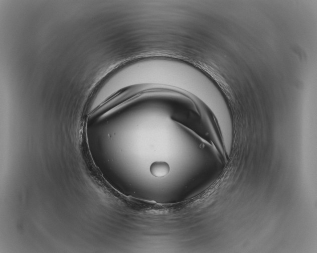 X0000112970160200909171325