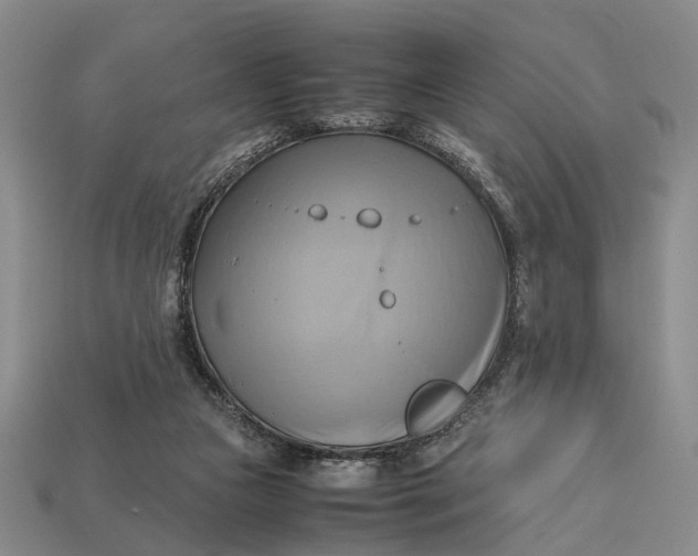 X0000112970161200909171325