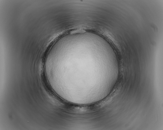 X0000112970164200909171325