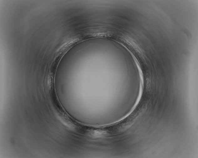 X0000112970165200909171325