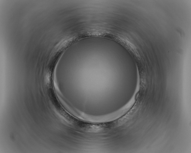 X0000112970166200909171325