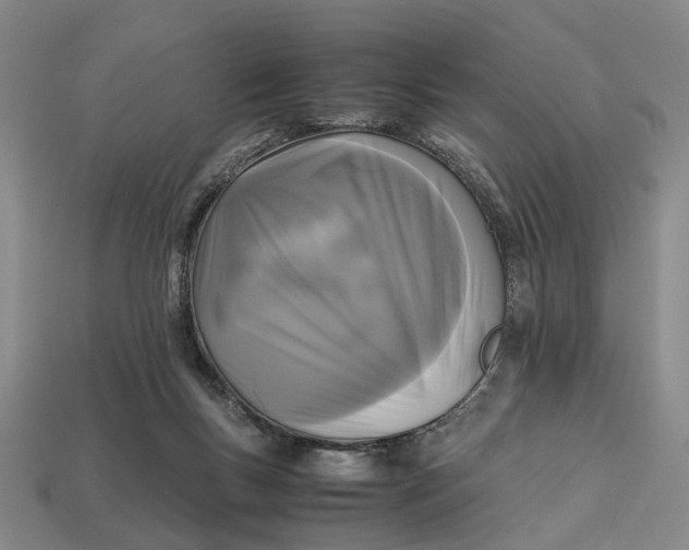 X0000112970167200909171325