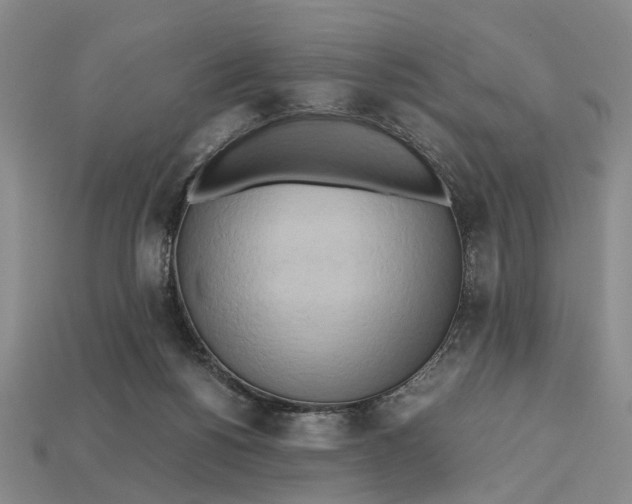 X0000112970168200909171325