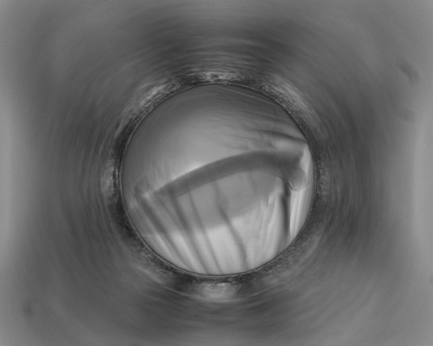 X0000112970169200909171325