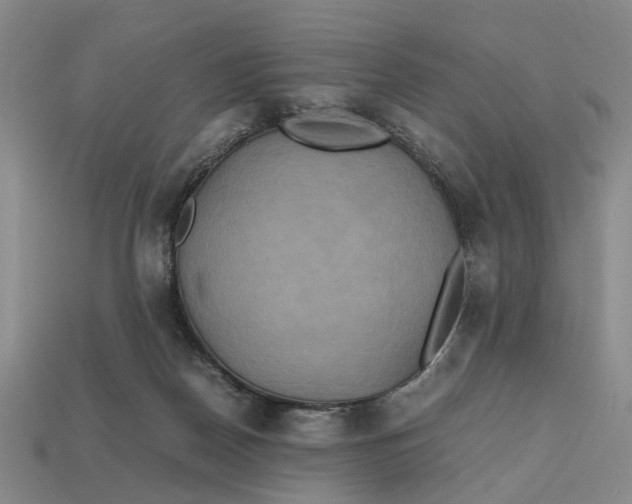 X0000112970170200909171325