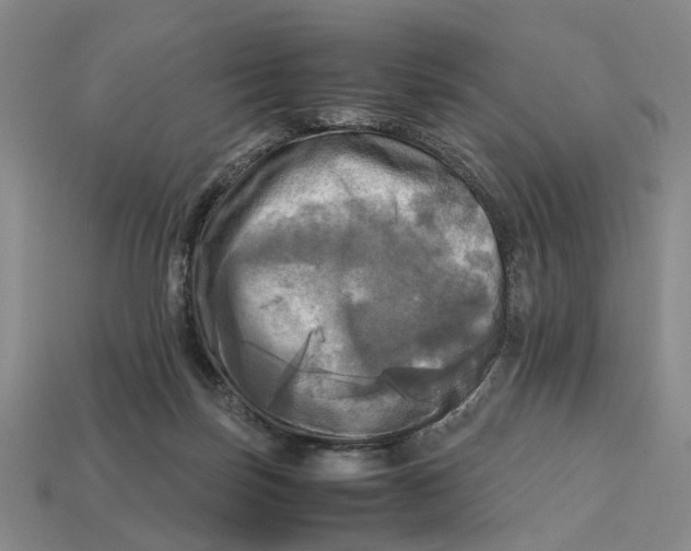 X0000112970171200909171325