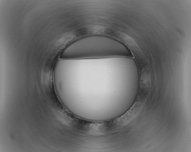 X0000112970172200909171325