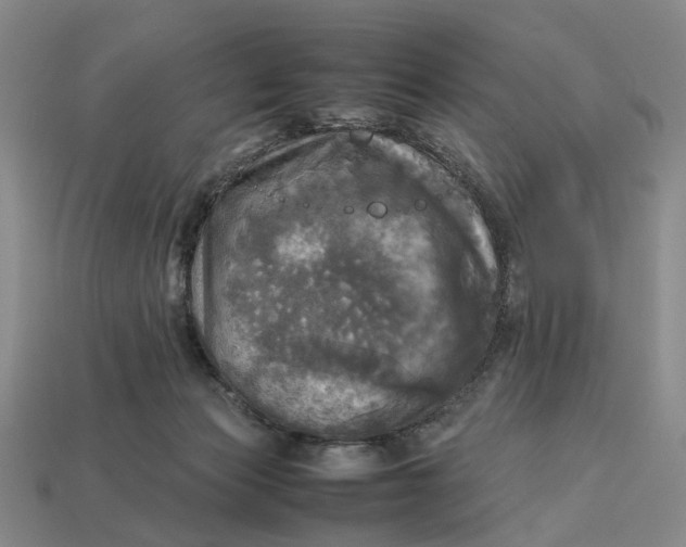 X0000112970173200909171325