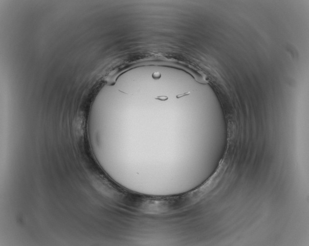 X0000112970174200909171325