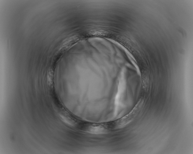 X0000112970175200909171325