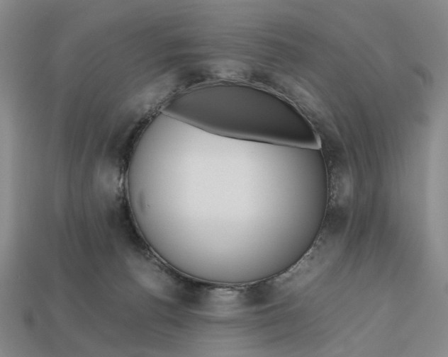 X0000112970176200909171326