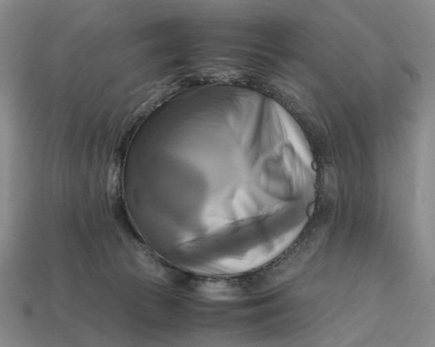 X0000112970177200909171326