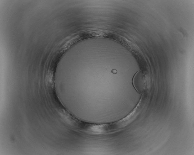 X0000112970178200909171326