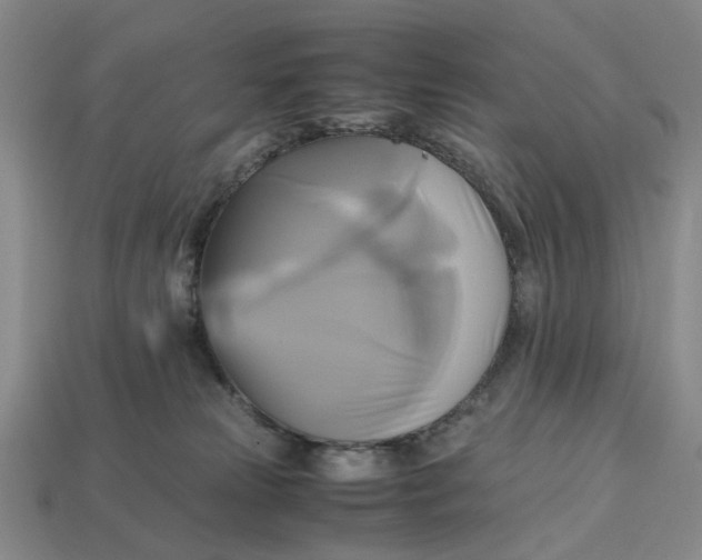 X0000112970181200909171326