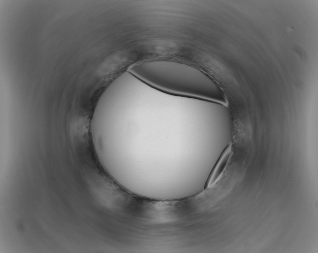 X0000112970184200909171326