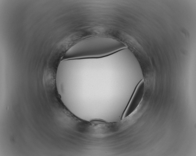 X0000112970186200909171326