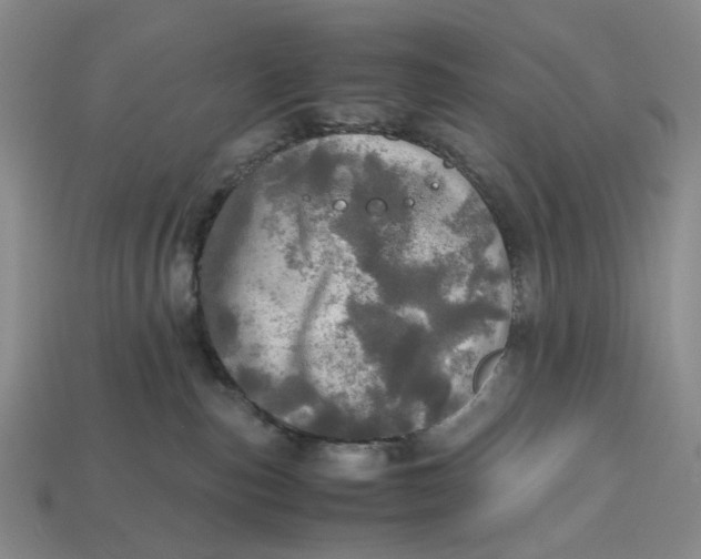 X0000112970187200909171326