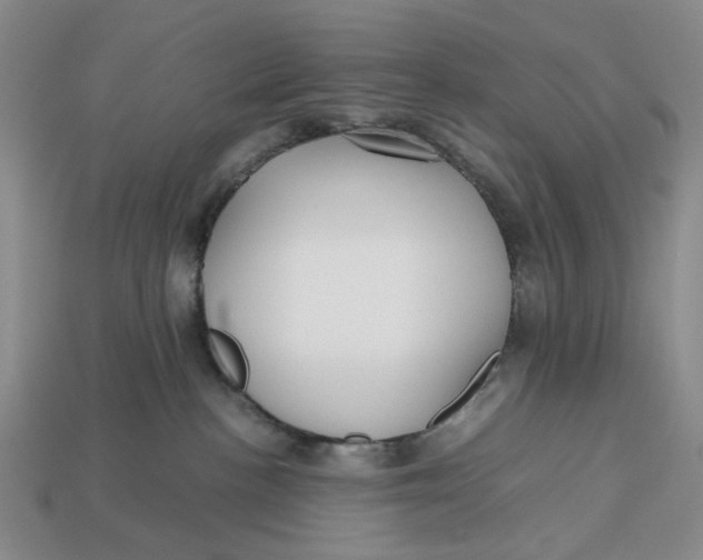 X0000112970188200909171326