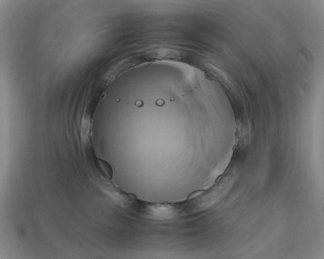 X0000112970189200909171326