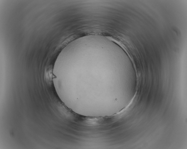 X0000112970190200909171326