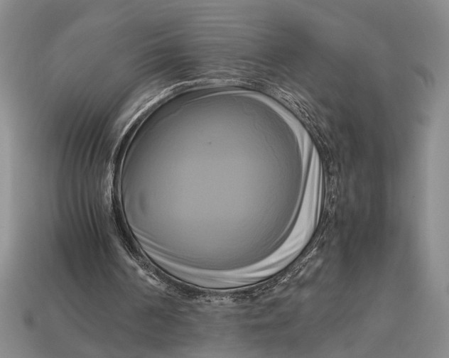 X0000112970194200909171325