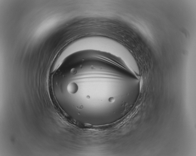 X0000112970195200909171325