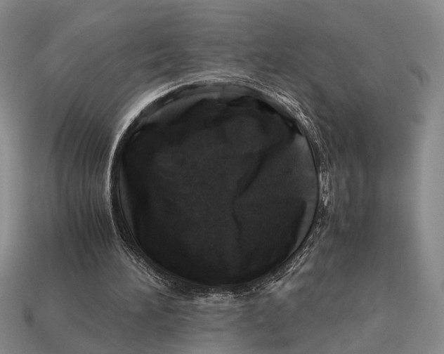 X0000112970196200909171325